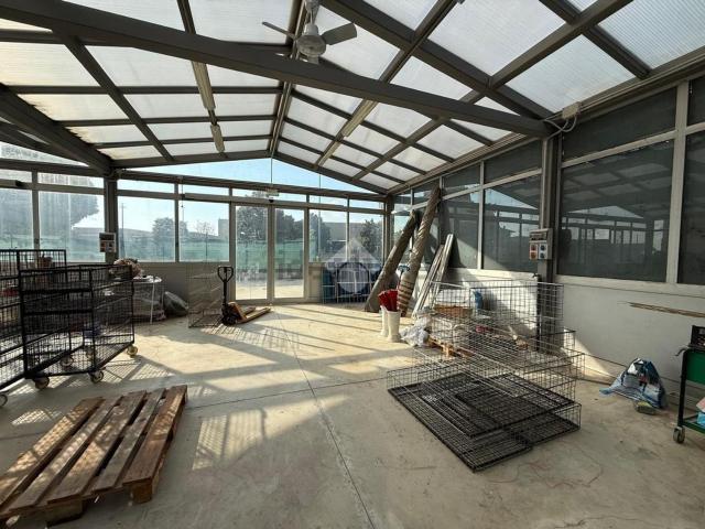 Capannone in affitto di 300 m²