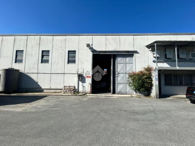 Capannone in affitto di 300 m² in Via Murlungo