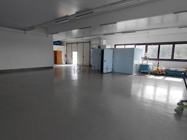 Capannone in affitto di 385 m² in Via Colonnetta, 3