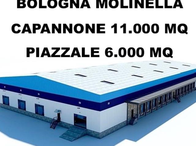 Capannone in vendita a Molinella