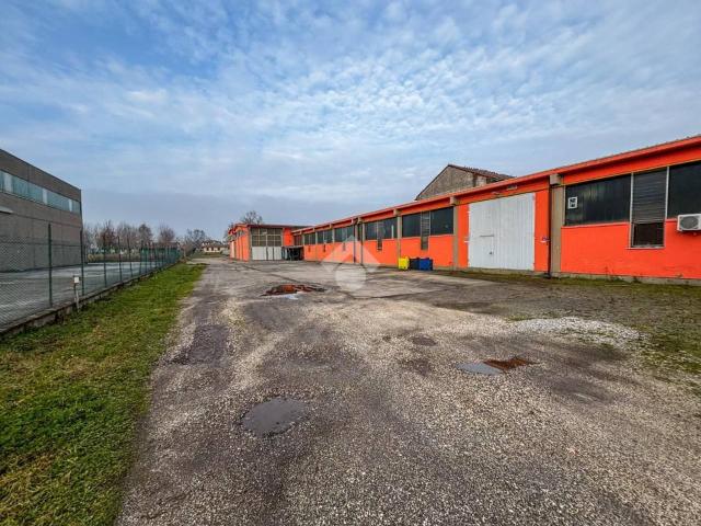 Capannone in vendita a Azzanello