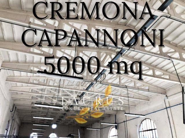 Capannone in vendita a Azzanello