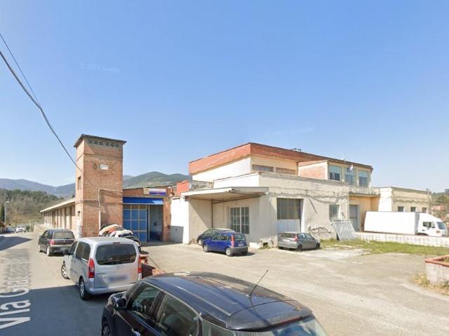 Capannone in Vendita a Buti