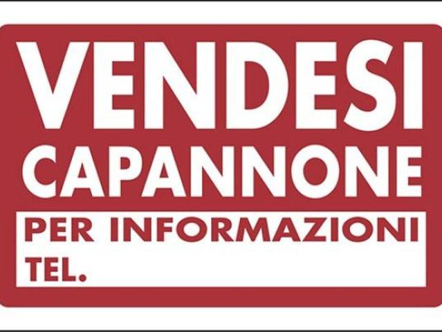 Capannone in vendita a Bagnolo In Piano