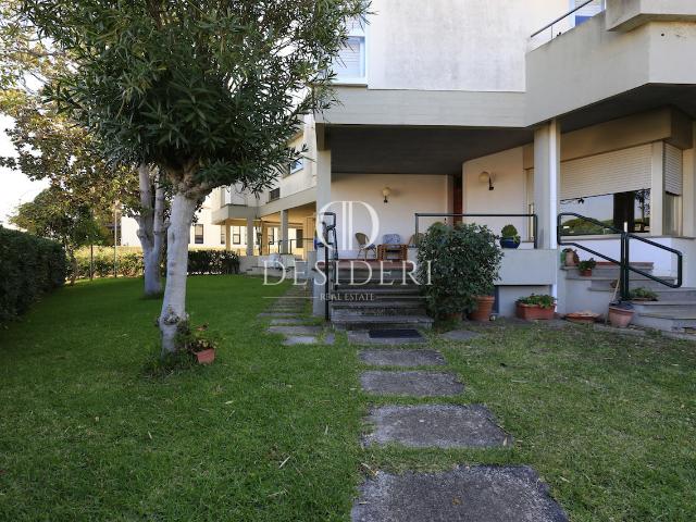 CAPANNONE in VENDITA a GROSSETO ORCAGNA