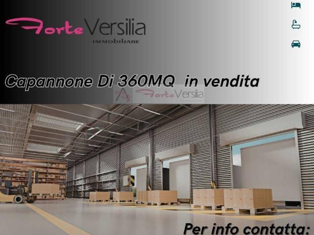 Capannone in vendita a Pietrasanta, Marina di Pietrasanta