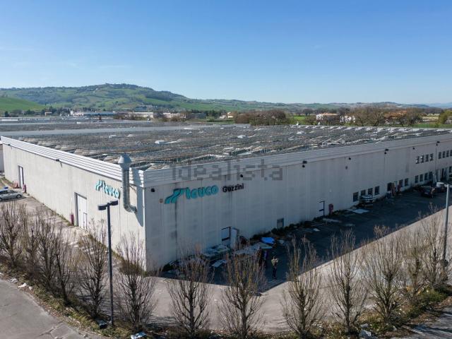 Capannone in vendita di 40587 m² in Via Virgilio Guzzini, 2
