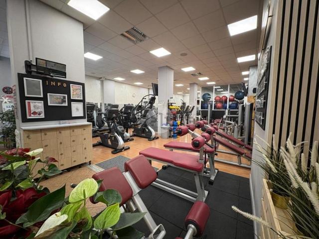 Capannone in vendita di 450 m² in Via dell&apos Alloro, 5