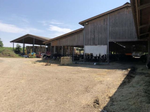 Capannone in vendita di 5300 m² in Località Bosella
