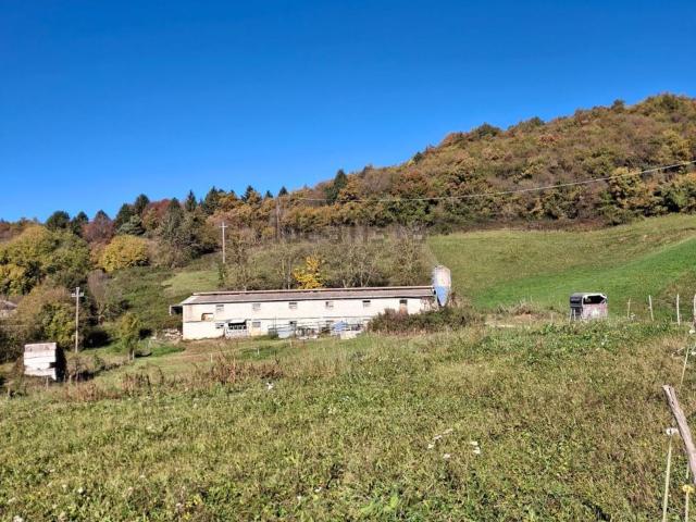 Capannone in vendita di 650 m² in Via Barozze, 12