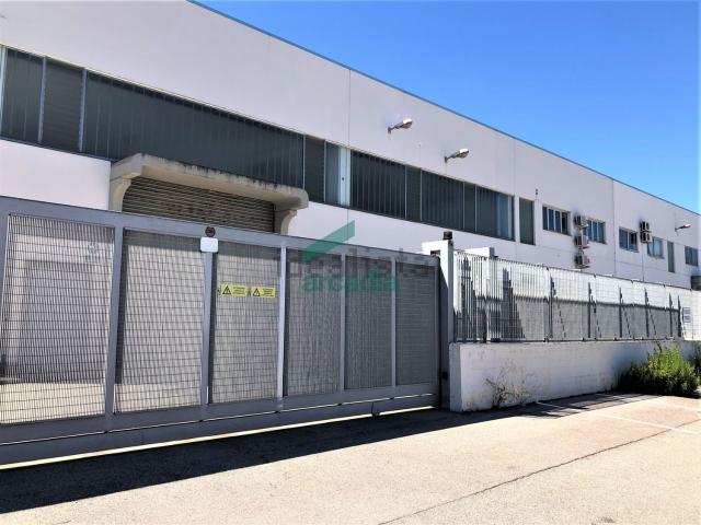 Capannone in vendita di 716 m² in Via delle Magnolie, 8