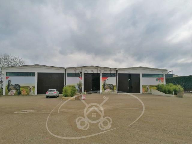 Capannone in vendita di 750 m² in Via Cerignola