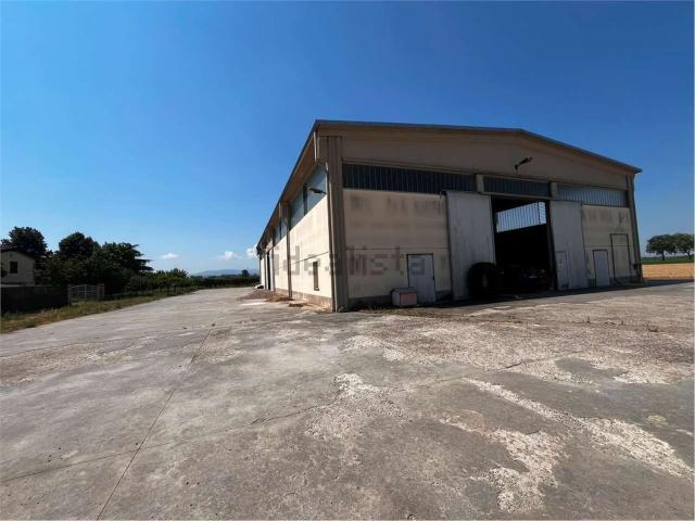 Capannone in vendita di 900 m² in Strada per Paderna Montanaro