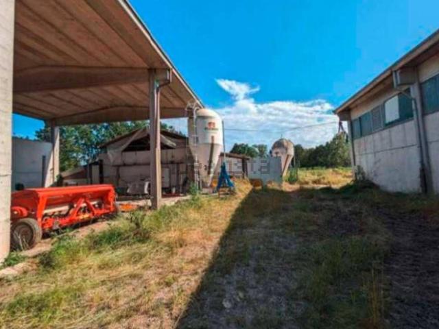 Capannone in vendita di 9989 m² in Strada per Carentino, 21