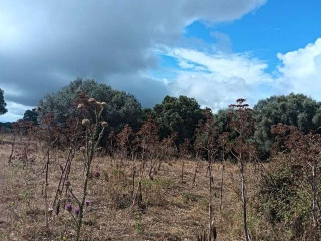 Capannone in vendita di 1088 m² in Via Nazionale