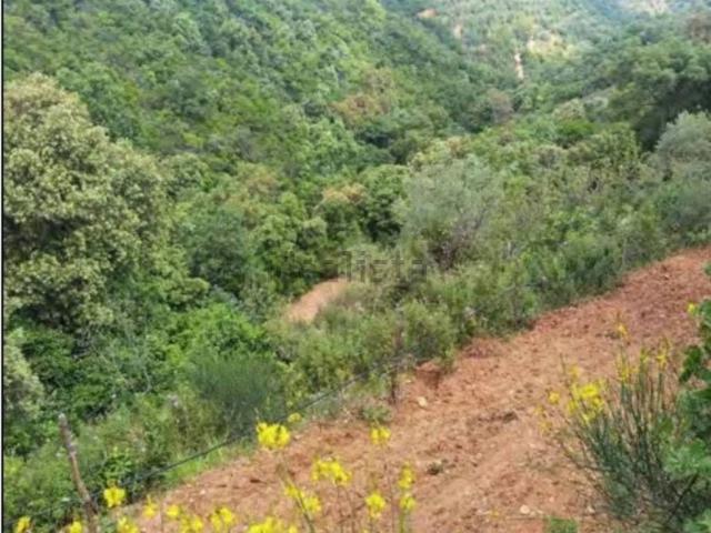 Capannone in vendita di 1115 m² in Contrada Sofferetti