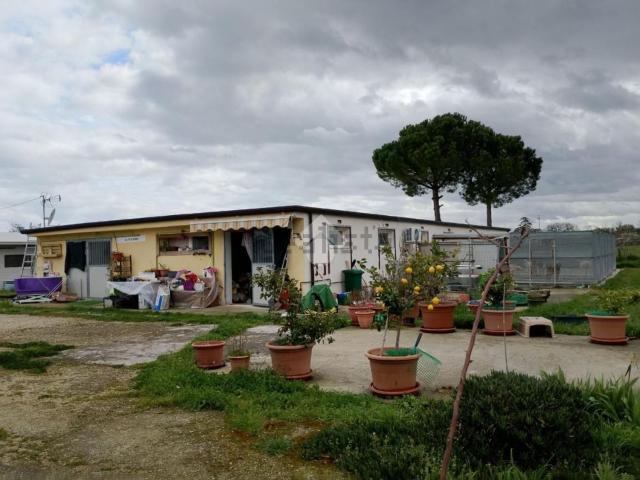 Capannone in vendita di 1230 m² in Via Celletta dell&apos Olio, 2313