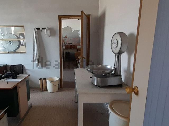 Capannone in vendita di 1300 m²