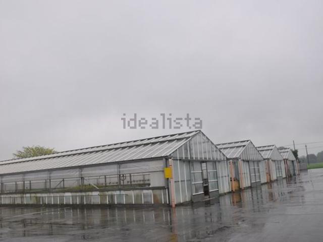 Capannone in vendita di 15144 m² in Strada Pontelupo, 22
