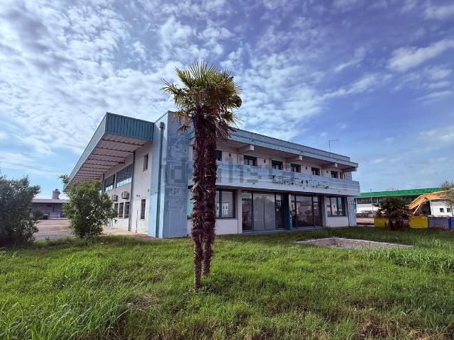 Capannone in vendita di 1600 m² in Via P.L.Nervi, 46