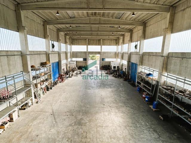 Capannone in vendita di 1850 m² in Via delle Petunie, 3