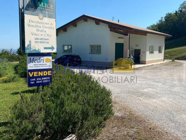 Capannone in vendita di 200 m² in Via Sorrivoli, 5477