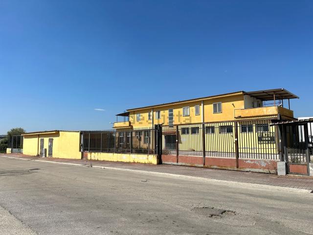 Capannone in vendita di 2100 m² in Via Cese Nove, 82030 San Salvatore Telesino BN, 4