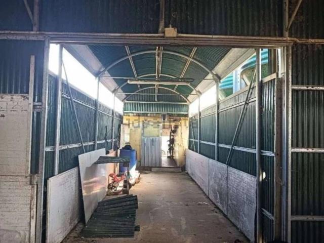 Capannone in vendita di 222231 m² in Località COGOTTI