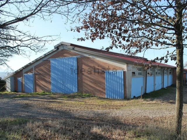 Capannone in vendita di 2250 m² in Via Rivalta