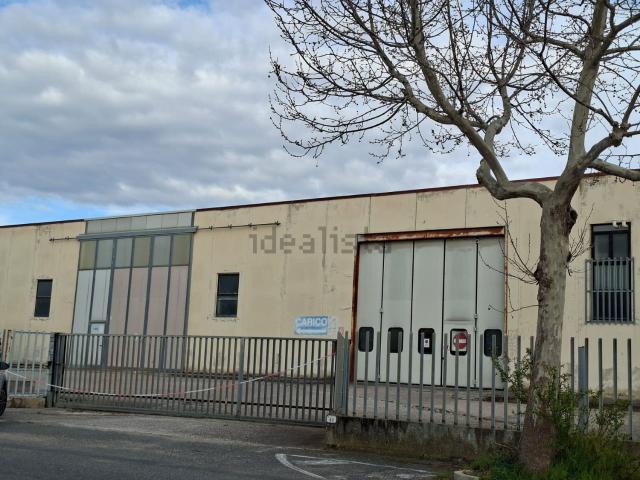 Capannone in vendita di 2500 m² in Via delle Pescine