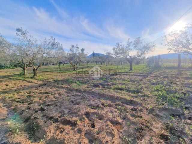 Capannone in vendita di 250 m² in Contrada Ramo
