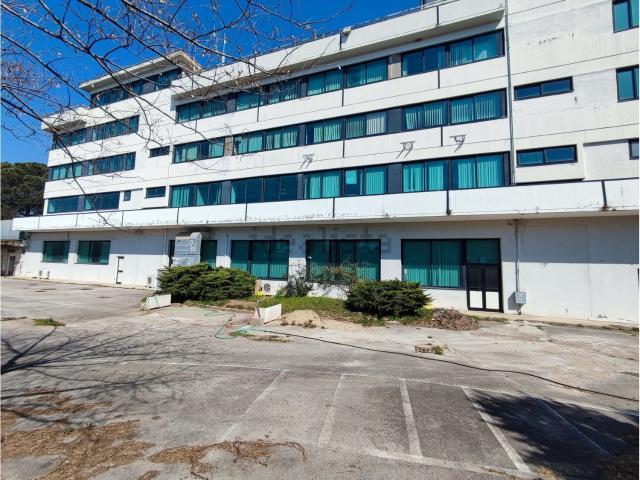 Capannone in vendita di 3000 m² in Via Laurentina