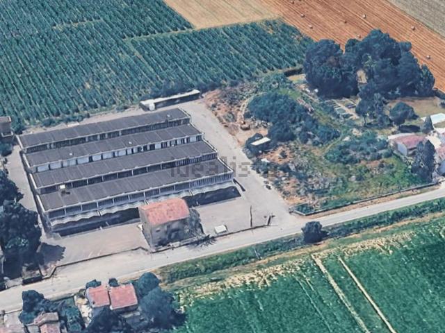 Capannone in vendita di 3900 m²