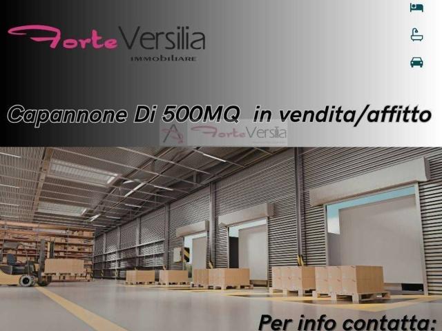 Capannone in vendita/affitto a Pietrasanta