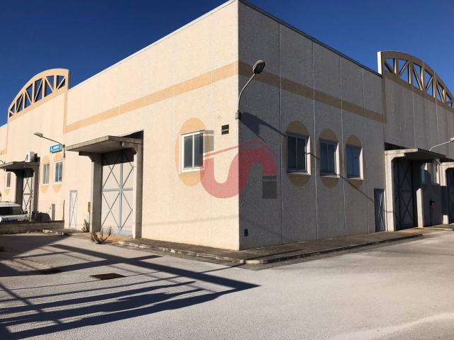 CAPANNONE INDUSTRIALE in vendita a Benevento, CONTRADE