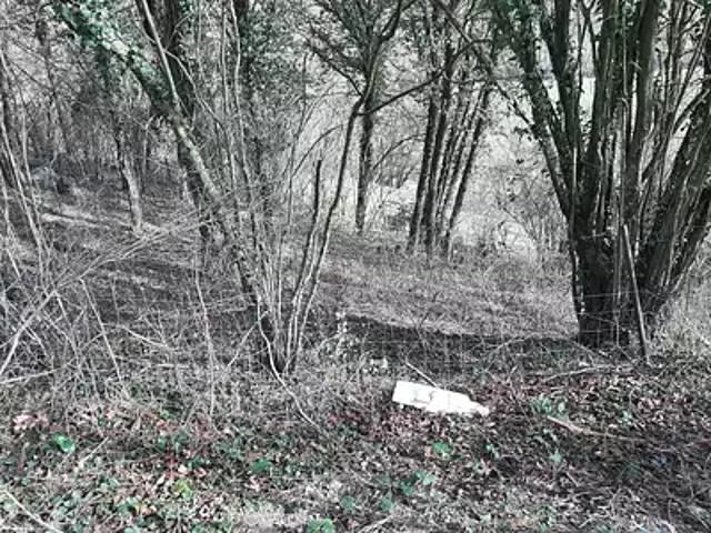 Capavenir Vosges 88150 Achat / Vente terrain