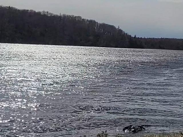 Cape Breton 1acre Lots Near Lake $2500 Each