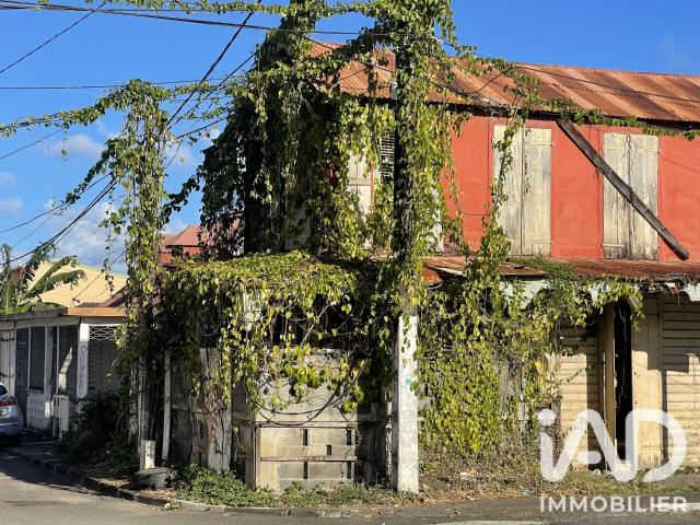 Capesterre Belle Eau Vente Maison 97