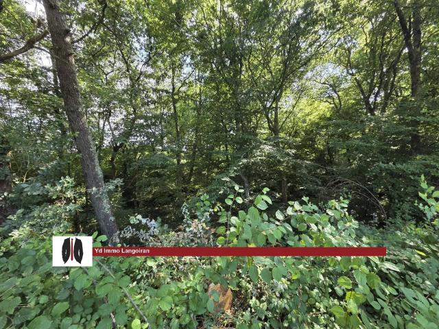 Capian Vente Terrain 33