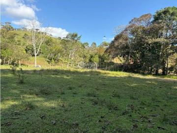 Capira / ciri grande / finca con casa / 1.5 hectareas / agua viva