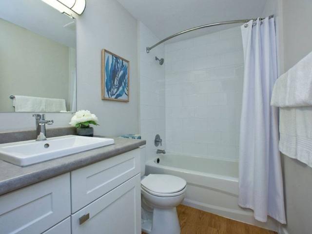 Capitol Hill Apartments 2 Bedroom Apartment for Rent at 11 Overlea Dr, Kitchener, ON N2M 5C8 Forest Hill