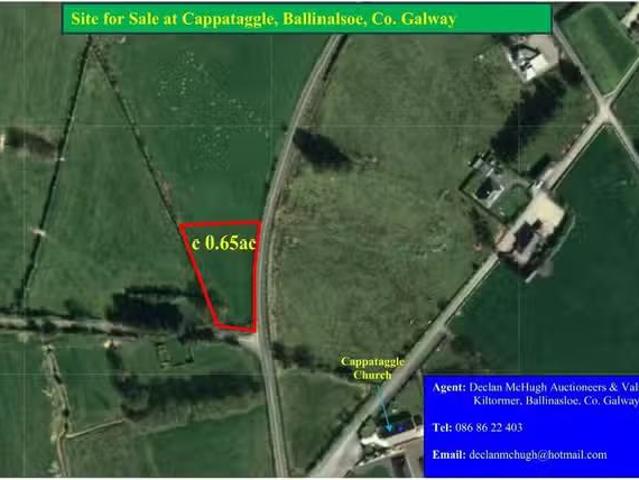 Cappataggle, Ballinasloe, Co. Galway is for sale