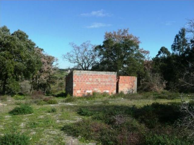 Cartaxo Cartaxo 104870417