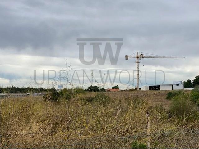 Cartaxo Cartaxo LS102871733
