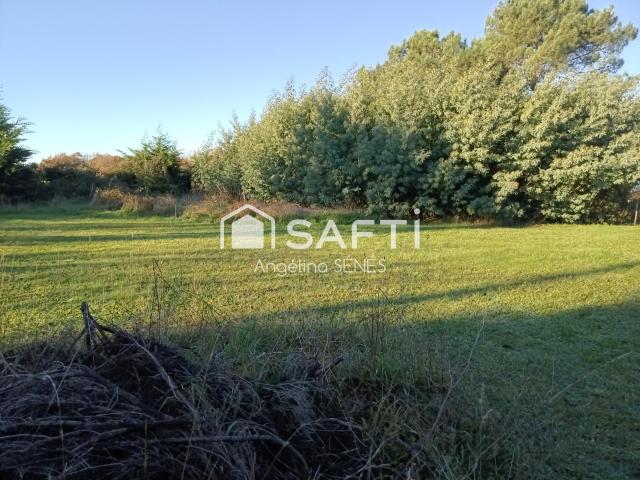 Cartelègue Vente Terrain 33