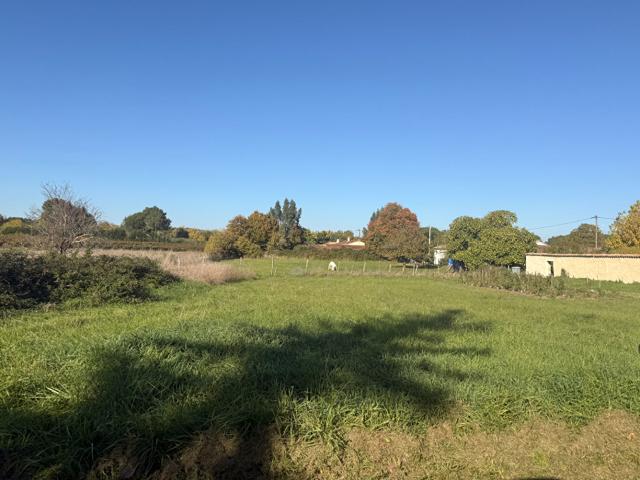 Cartelègue Vente Terrain 33