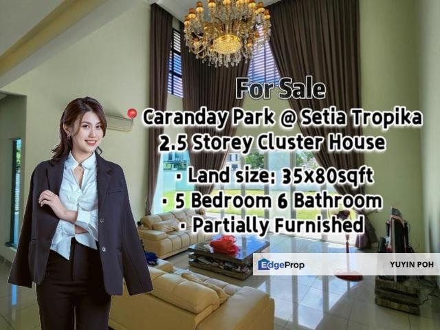 Caranday Park @ Setia Tropika