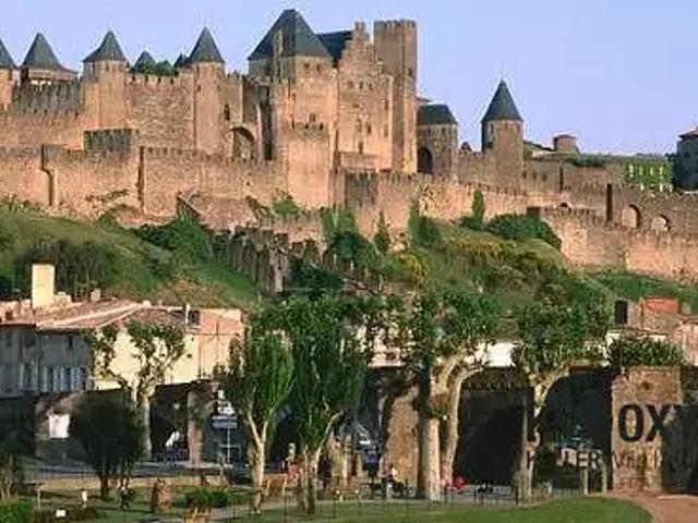 Carcassonne 11000 Achat / Vente divers