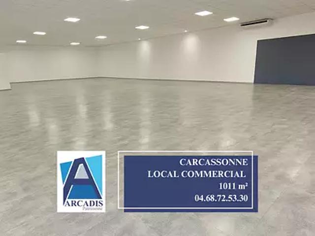 Carcassonne 11000 Achat / Vente divers