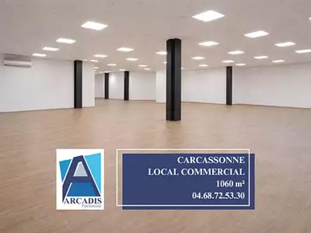 Carcassonne 11000 Achat / Vente divers